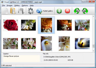 web site media gallery Lightbox Galerien